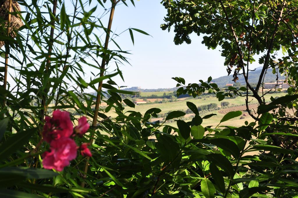 Hotel Firenze Chianciano Terme Buitenkant foto