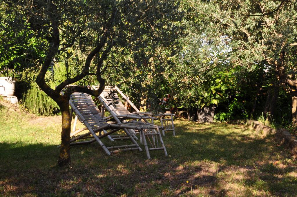 Hotel Firenze Chianciano Terme Buitenkant foto